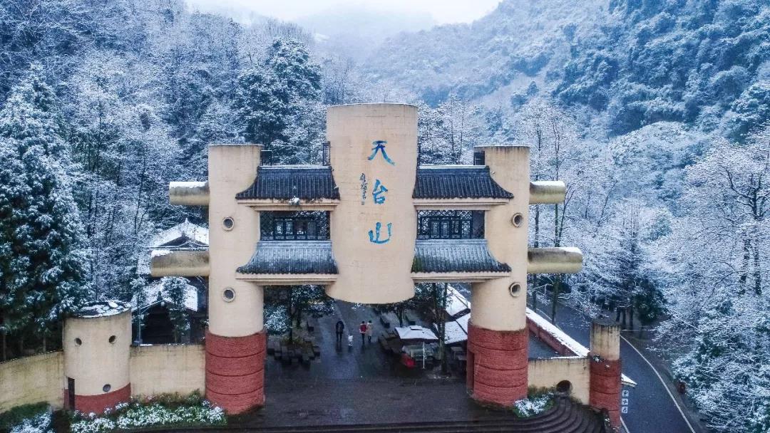 邛崃天台山:冰雪茶花旖旎多娇