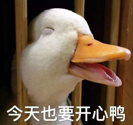 哈哈哈哈哈哈 叩谢各位沙雕网友 给我们带来又一天的欢乐 今日份的