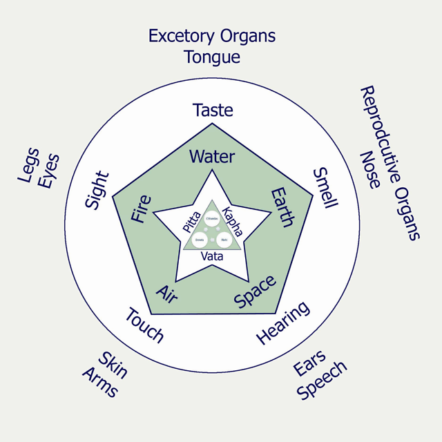 世界人民都有自己的中医|大象公会