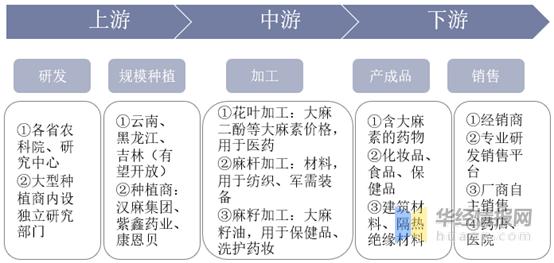 中国工业大麻产量,种植面积及发展趋势,"两会"聚焦工业大麻
