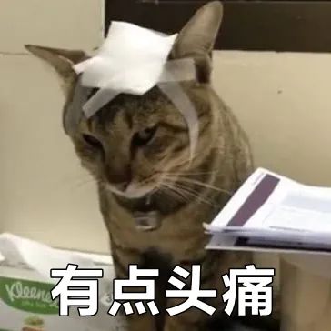 二十多岁因疫情失业的我，该如何开口找父母要钱