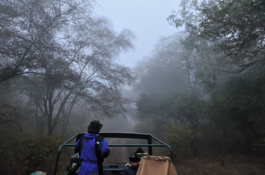 印度夫妻买下140000㎡荒地，倾家荡产就为了活命