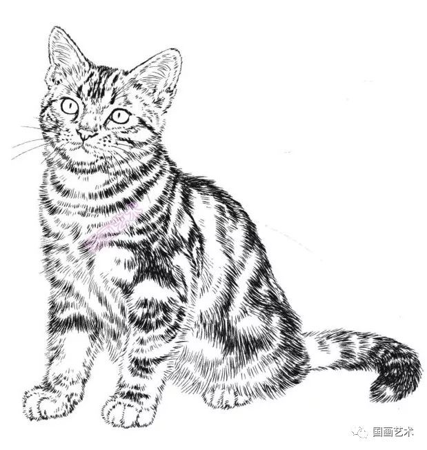 书画联盟丨白描百猫画谱选页欣赏