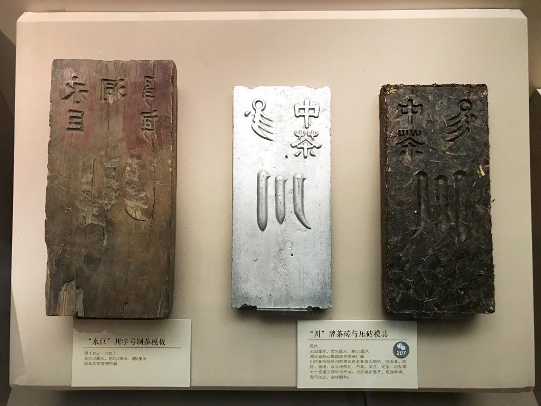 山西这个县为何成为疫情重灾区？| 地球知识局