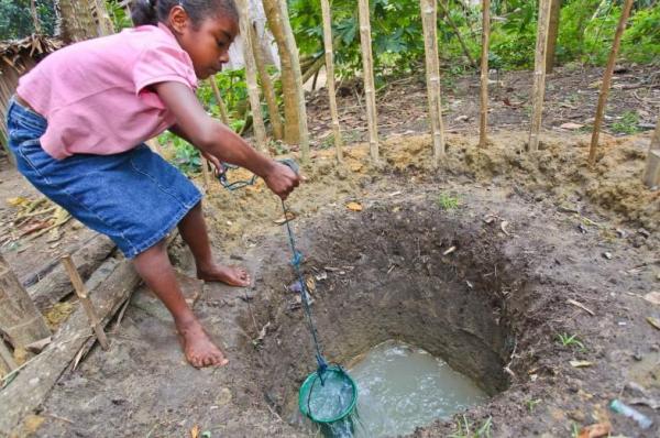 “100欧元有机会获得一件毕加索”真的还是假的