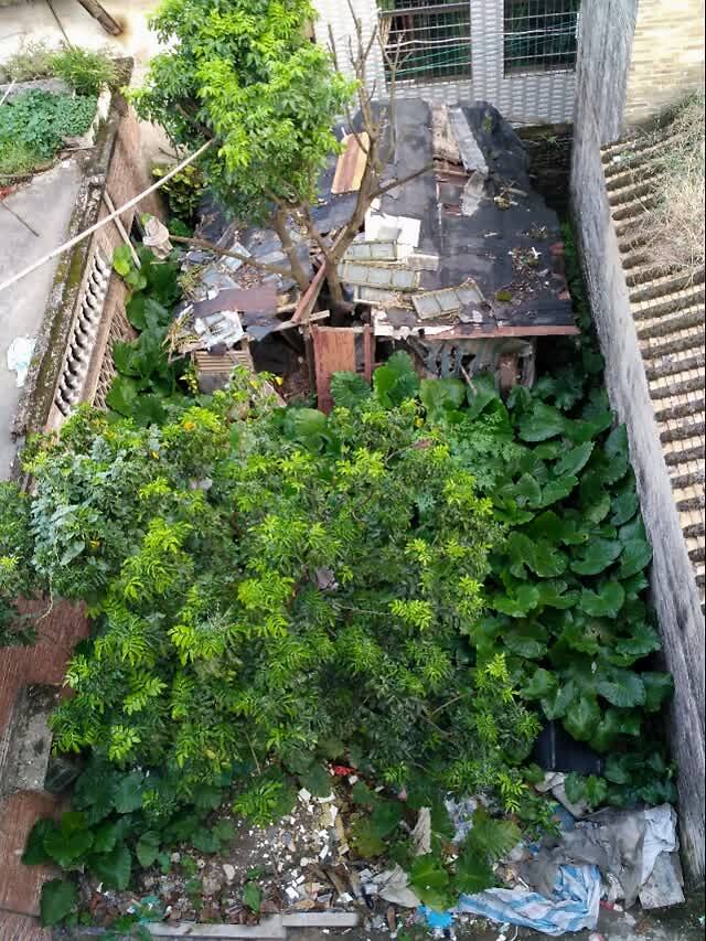 在快递公司上夜班的一年：感觉大脑在退化