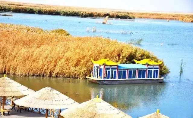 如果可以，一定要去新疆走一走，体会它的千种风情，万种风光（最新发布）