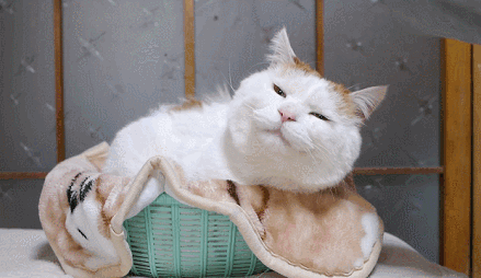 贫穷男与富贵女:一个被包养继承亿万遗产,一个慵懒一生老死田间