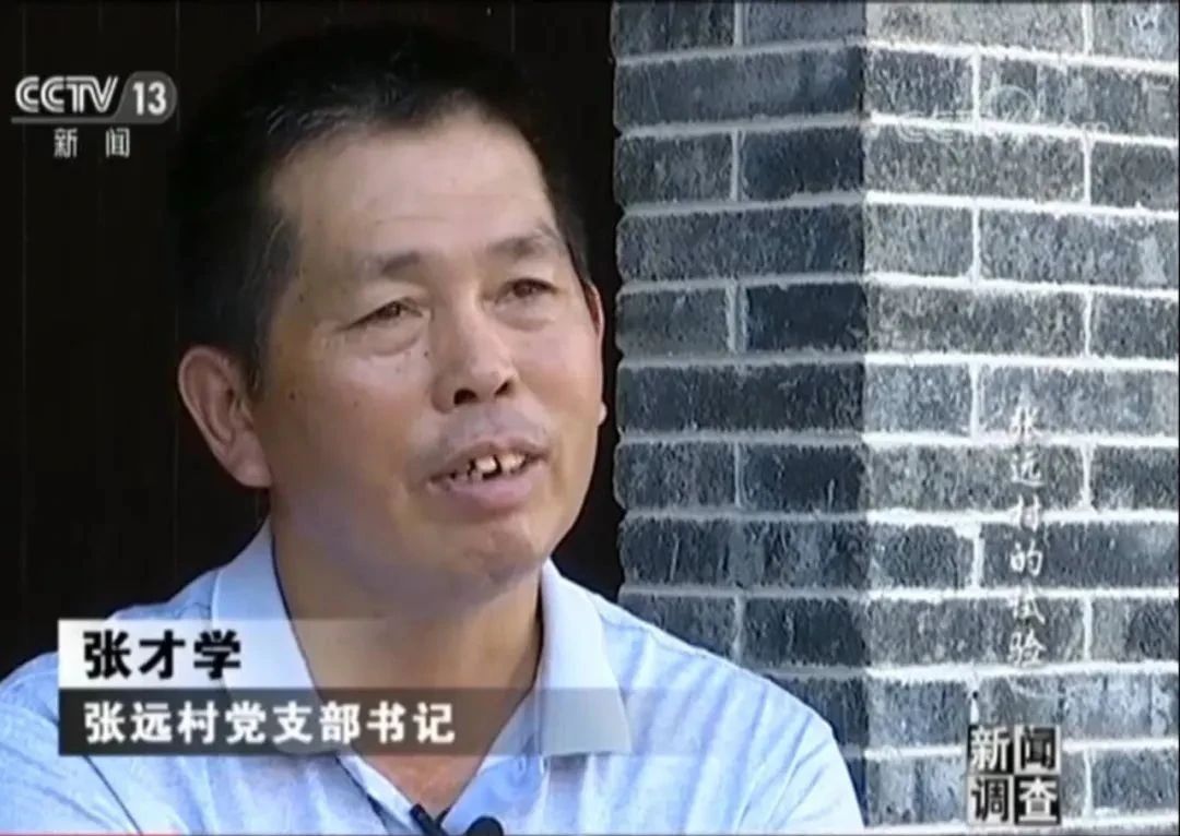 可以自行搜索cctv央视网《新闻调查《张远村的试验》作者:苑丰与