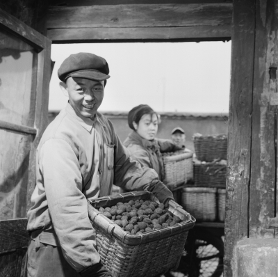 北方暖气神话是怎么来的｜大象公会