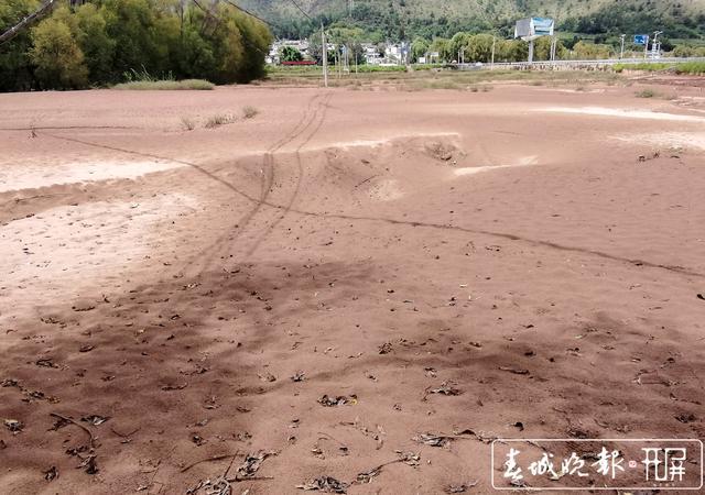 4米泥沙高沉积,丽江洪峰过后百亩粮田变沙洲