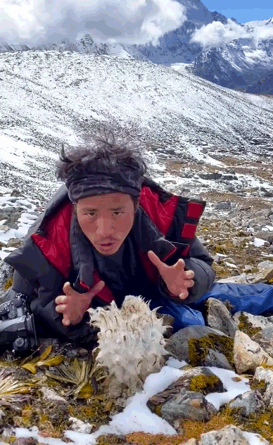 只知道瑞士阿尔卑斯山,而自己国家毫不逊色的雪山美景竟然没人知道?