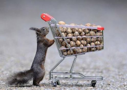 最近你为啥总怀疑体温计坏了