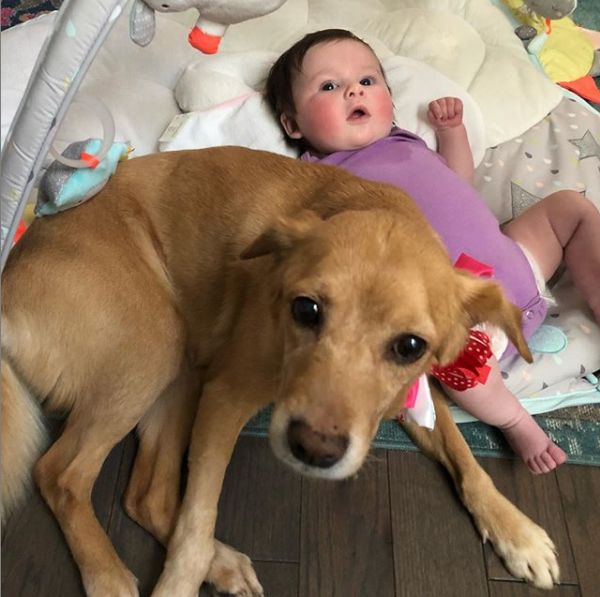 那天夜里，她闯进了陌生人的家……