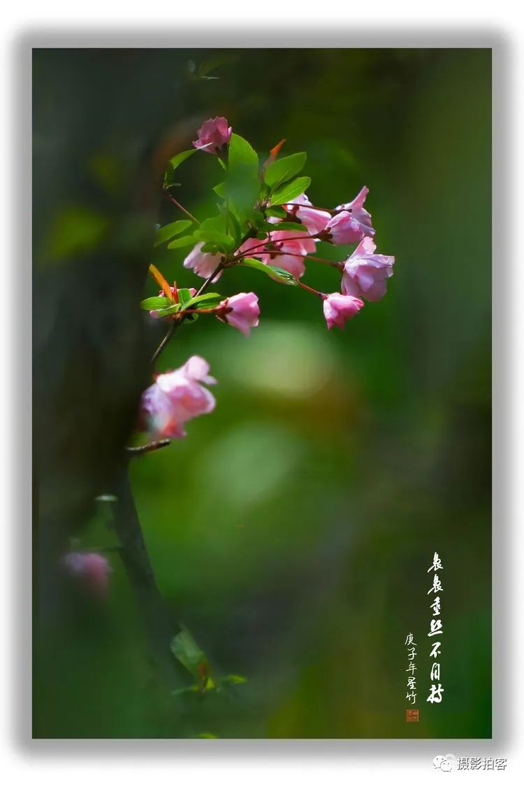 春风化雨,简静从容