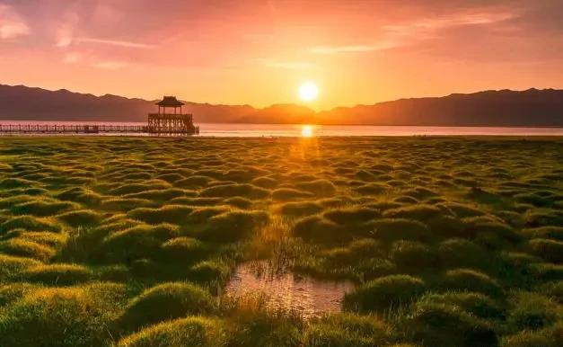 如果可以，一定要去新疆走一走，体会它的千种风情，万种风光（最新发布）