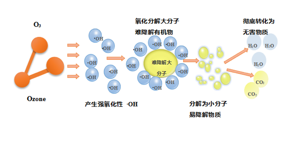 和微生物抗争的300万年里，人类是如何打胜仗的