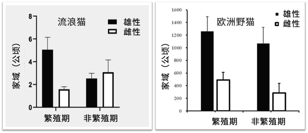 总的来说在中国流浪猫每年捕杀的野生动物是以百亿为单位的