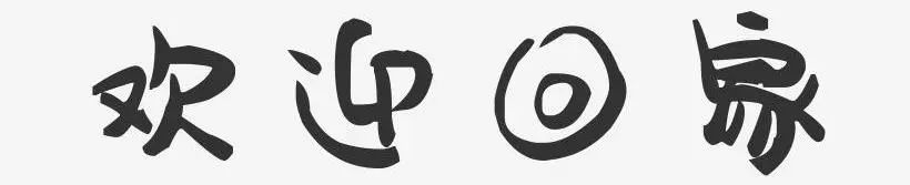 逆行四十日，香港摄记的武汉故事