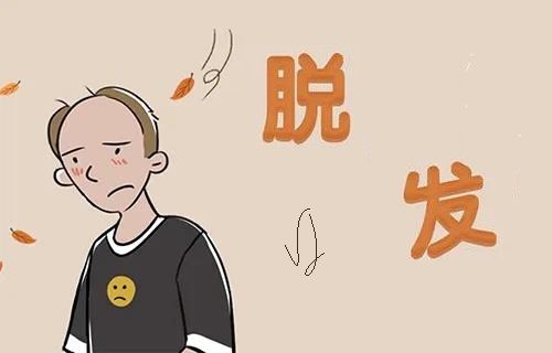麦子来辟谣:头发爱出油真的会导致脱发?