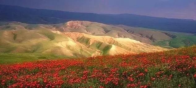 如果可以，一定要去新疆走一走，体会它的千种风情，万种风光（最新发布）