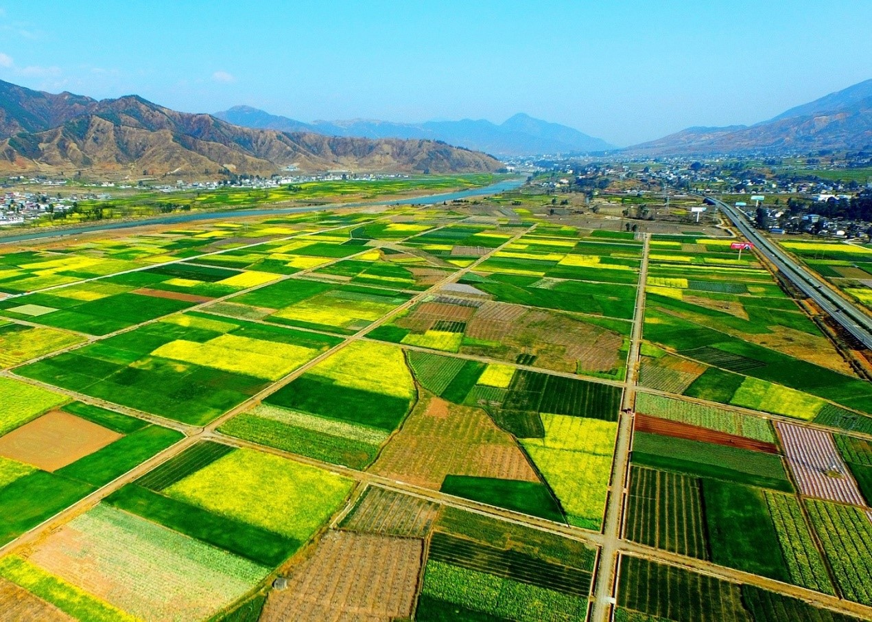 《地理标志产品 建昌板鸭加工技术规范》三项凉山州地方标准的制定