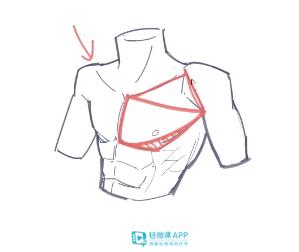 所以我们在画胸肌的时候一定要意识把三个不同的形状表达出来,包括