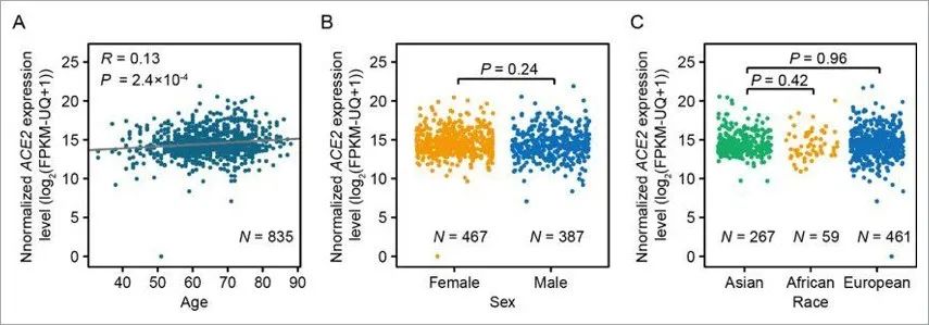 造一个病毒有多难|大象公会