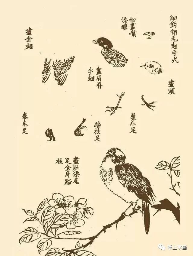书画联盟丨《芥子园画谱》中的千姿百态的小鸟