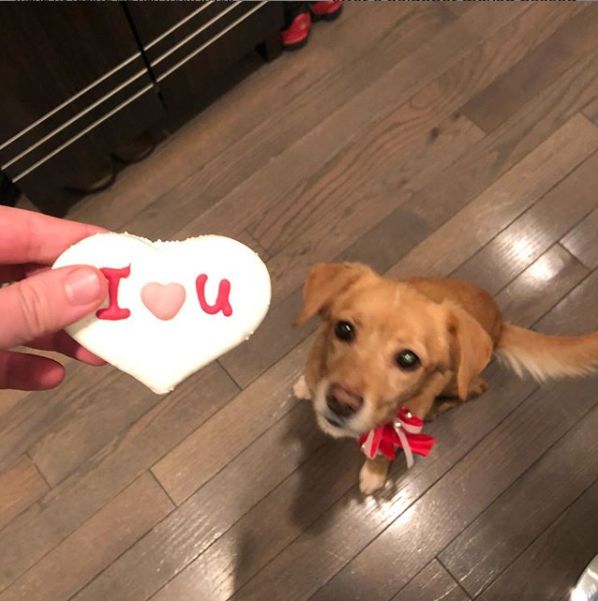 那天夜里，她闯进了陌生人的家……