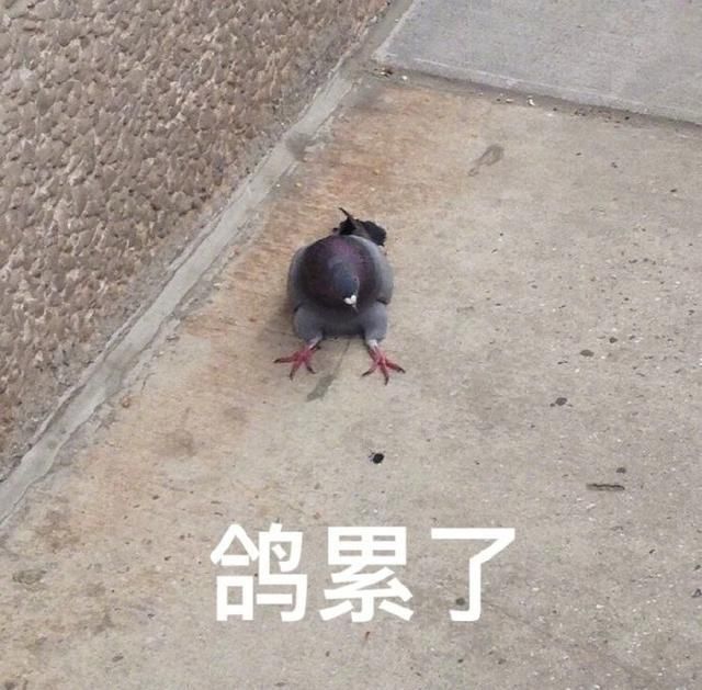 我怀疑冠状病毒读过《孙子兵法》，理由如下