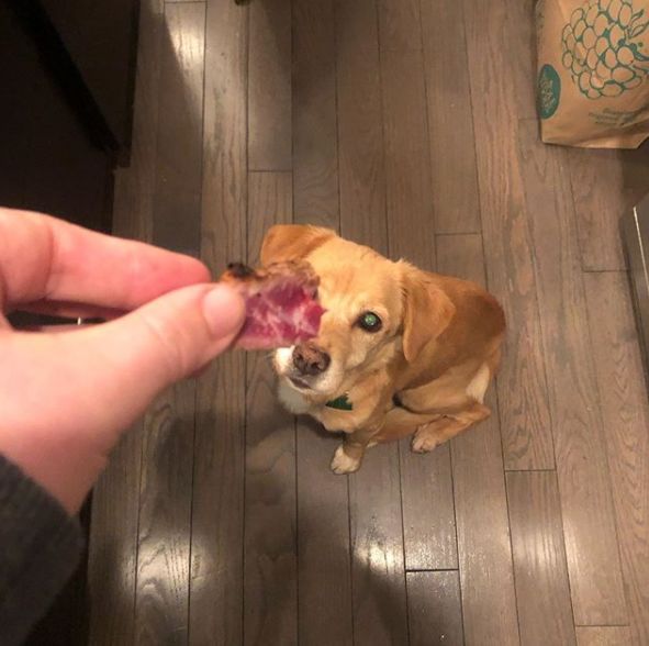 那天夜里，她闯进了陌生人的家……