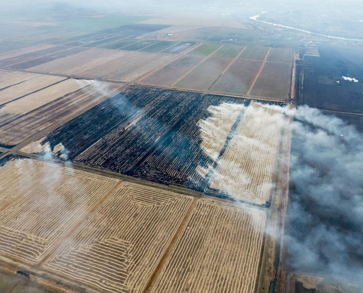 农村烧秸秆为何屡禁不止？ |　地球知识局