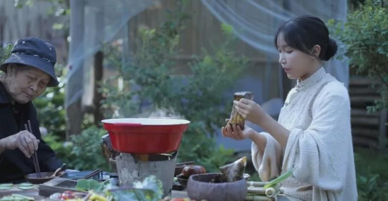 在这个纯颜值类博主都能轻松分走一杯羹的时代,李子柒作为传统文化