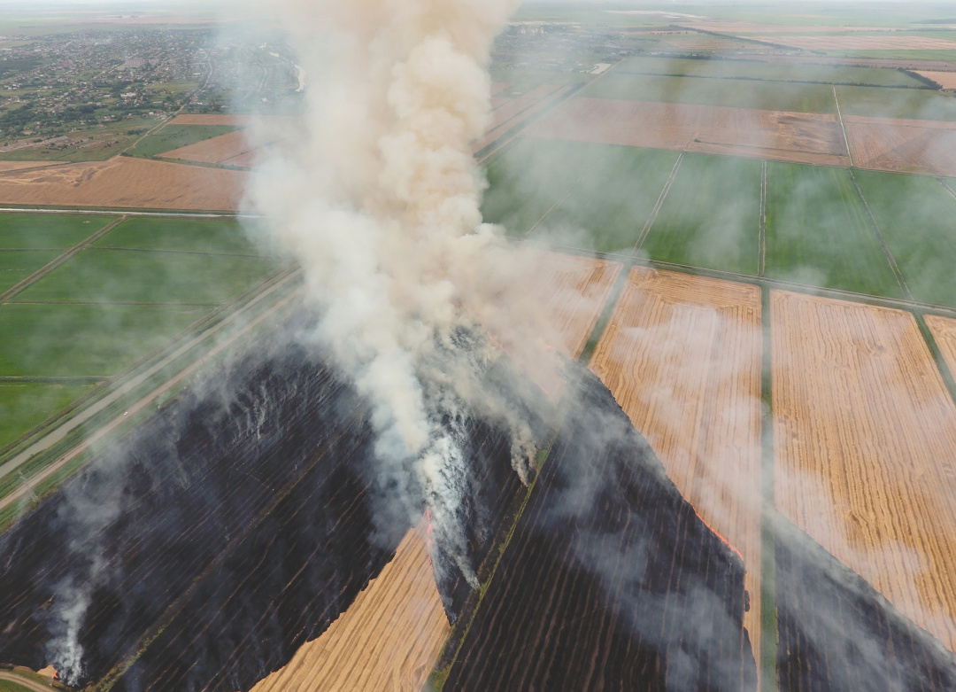 农村烧秸秆为何屡禁不止？ |　地球知识局