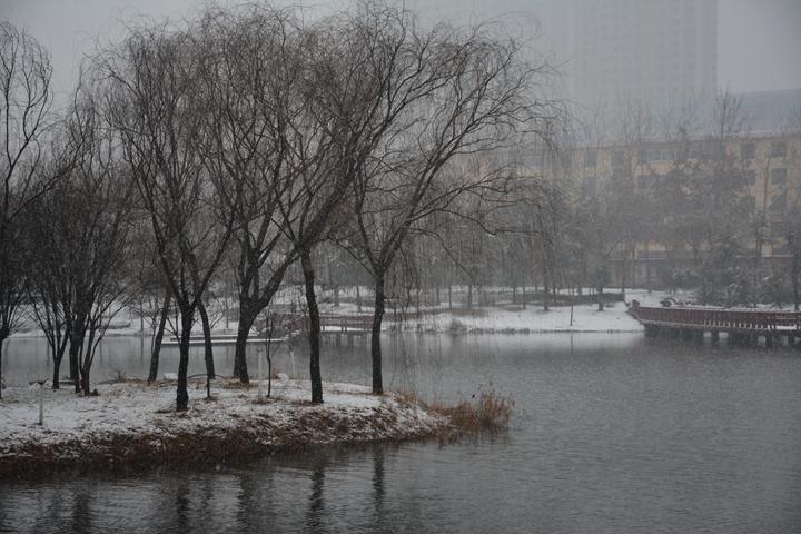 粉妆玉砌银装素裹菏泽迎来2020年第一场雪