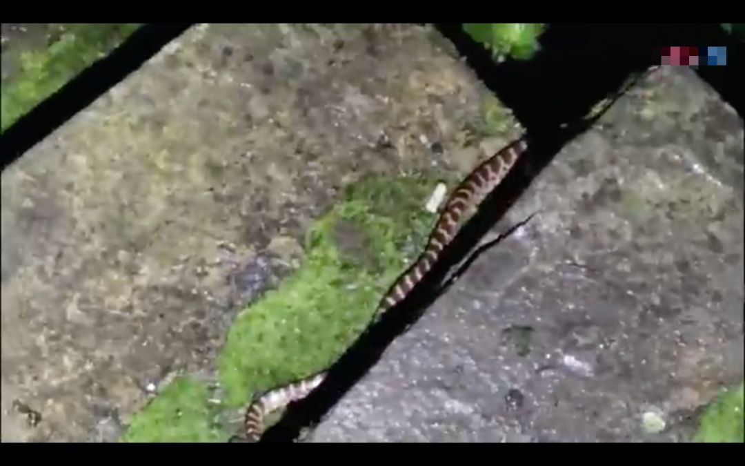 夜间探险主播：爬过鬼楼摸过干尸但我不相信有鬼