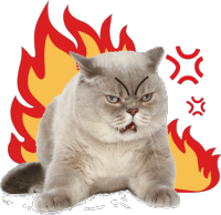 逆行四十日，香港摄记的武汉故事