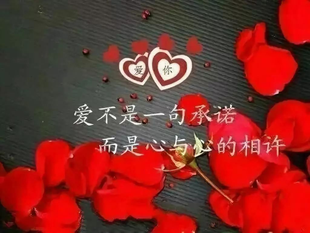 2020微信个性签名句子,句句经典入心