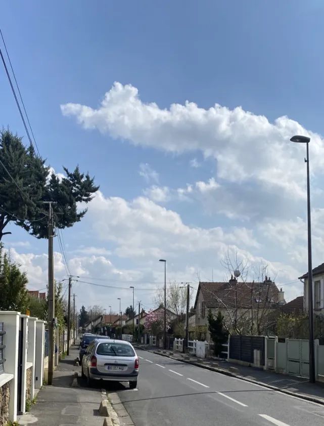 巴黎被“气死”的“正宗中国人”气死我了