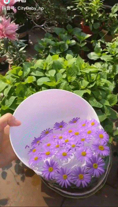 11亿人都在看泼花成画想成功要泼100遍那你试试这样做