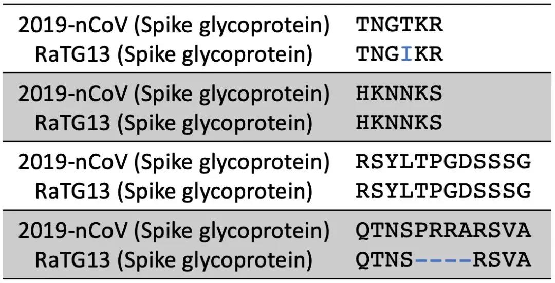 新冠病毒包含艾滋病毒序列？是科学家蓄意改造的吗