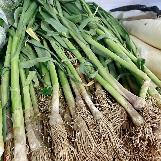 蒜黄韭黄、蒜苗蒜薹，难倒多少上街买菜的大老爷们