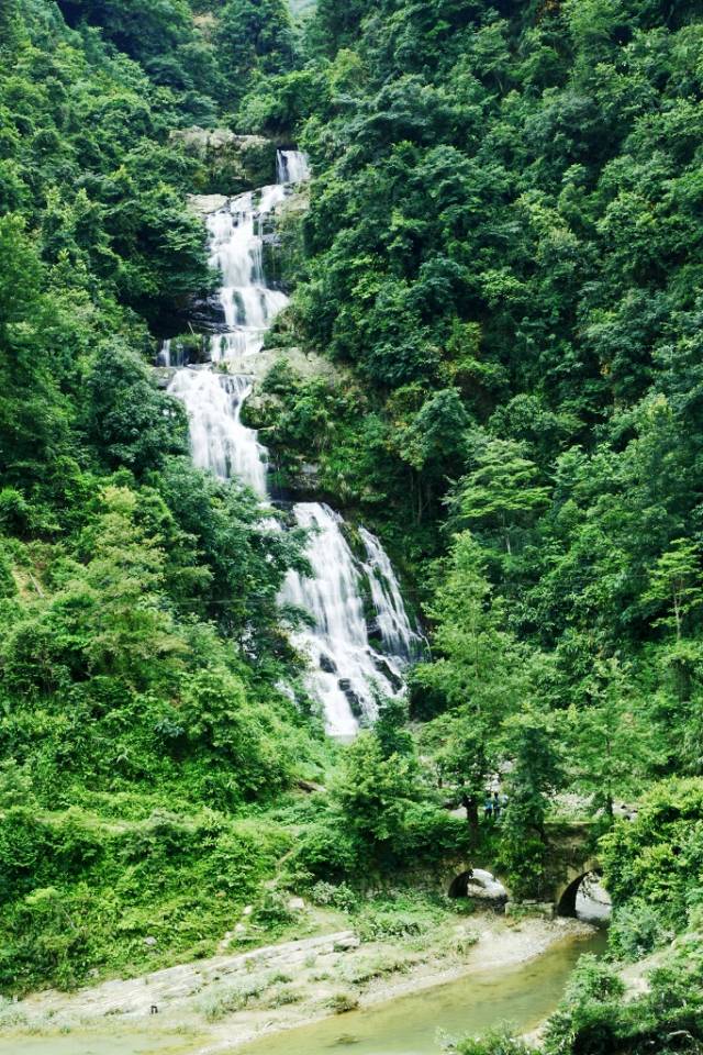 天然的植物基因库和野生动物园之称的尧人山国家森林公园,位于三都县