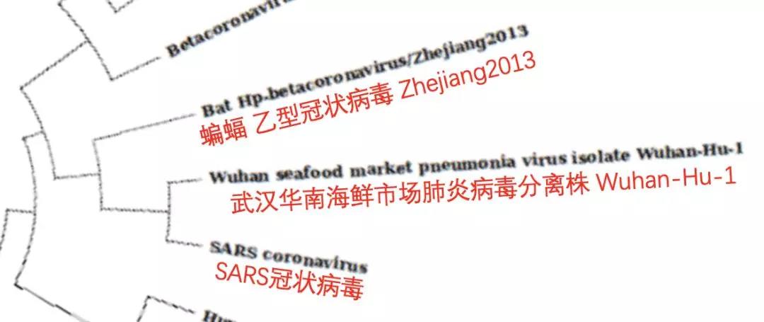 新冠病毒包含艾滋病毒序列？是科学家蓄意改造的吗