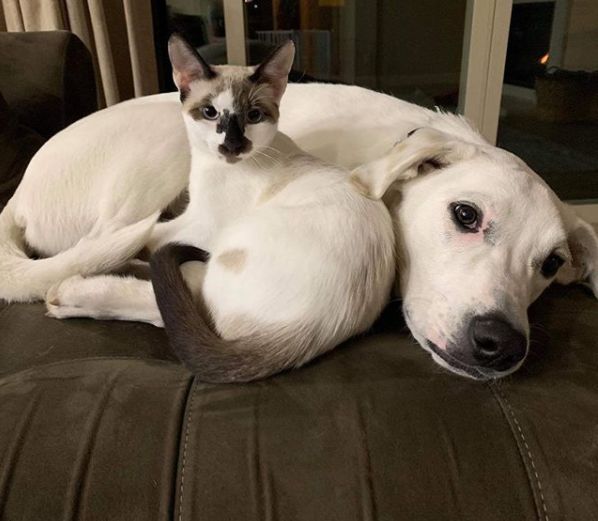 那天夜里，她闯进了陌生人的家……