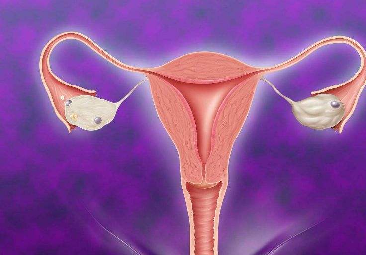 女人这几个部位越"黑",子宫可能越"脏",多吃3物,排毒又养宫