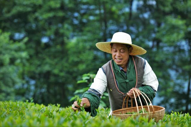 弘扬茶文化帮助恩施茶农小罐茶助力好茶走出大山