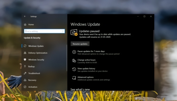 微软 版本 windows10 win10