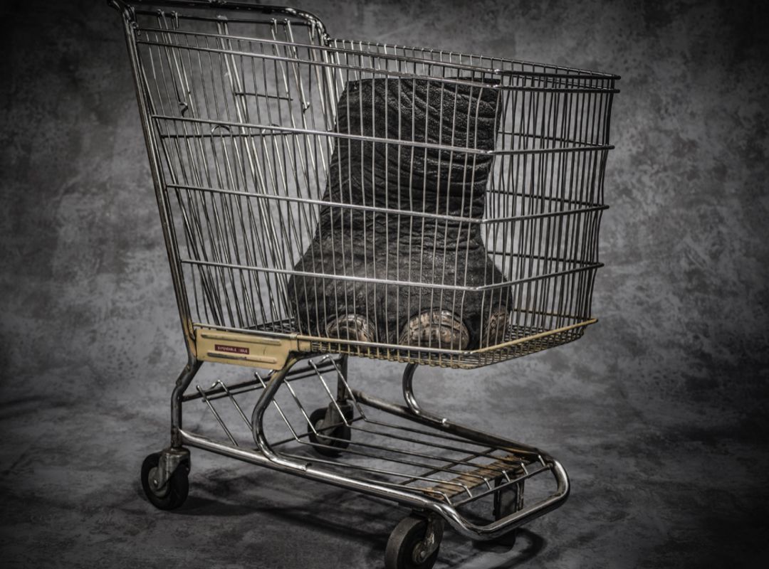 那些因人类的迷信娱乐贪婪，给野生动物带来的苦难